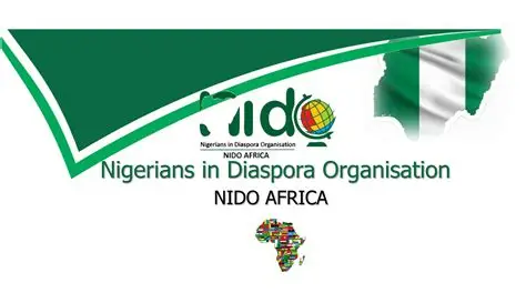 Continental Chairman of the Nigerians in Diaspora Organization (NIDO) Africa